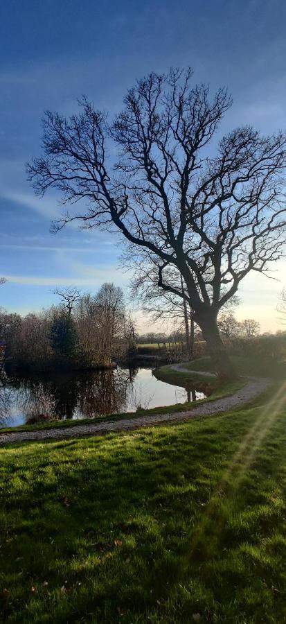 Kingfisher Cabin - Wild Escapes Wrenbury Off Grid Glamping - Ages 12 And Over Baddiley ภายนอก รูปภาพ